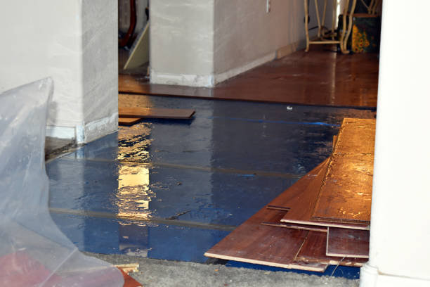 Professional Water Damage technician working in Ookala, HI